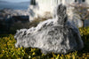 Wolf Coat head on a bush