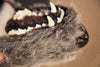 Griz Coat's wolf coat jaw and teeth